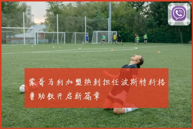 蒙哥马利加盟热刺担任波斯特科格鲁助教开启新篇章