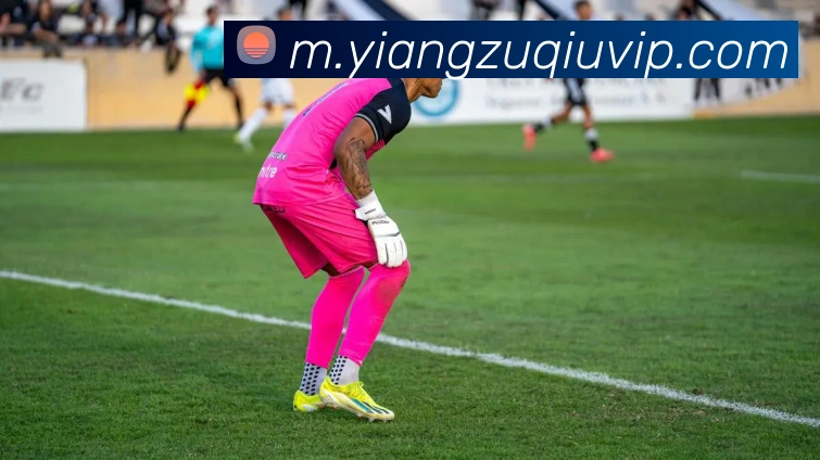 App Interface Preview